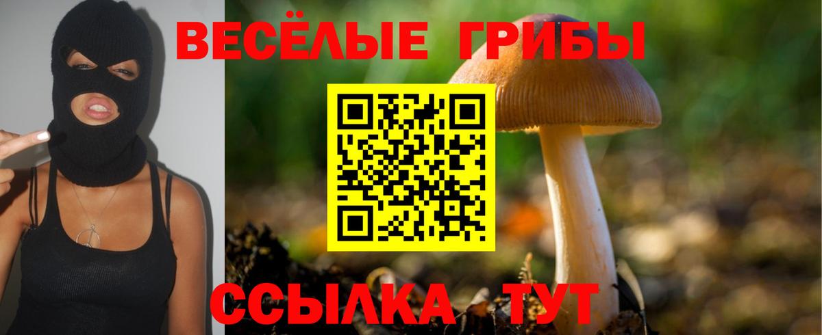 Дзержинский  Псилоцибиновые грибы прущие грибы  Вход с VPN 